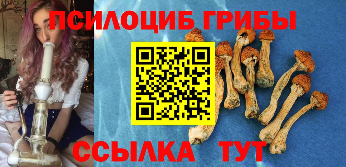 Шелехов  Псилоцибиновые грибы Magic Shrooms  Вход с VPN 