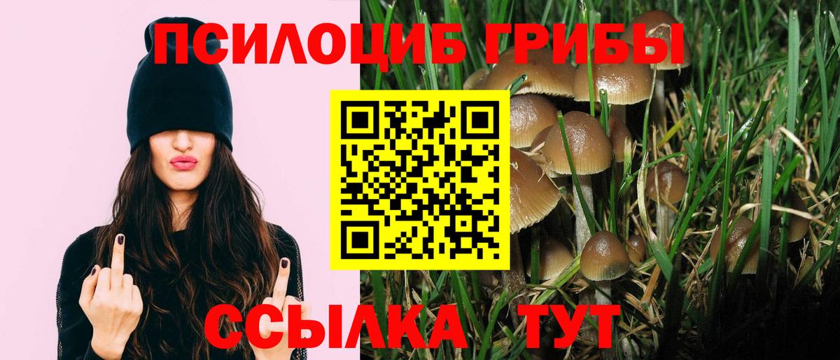 Псилоцибиновые грибы GOLDEN TEACHER Шелехов
